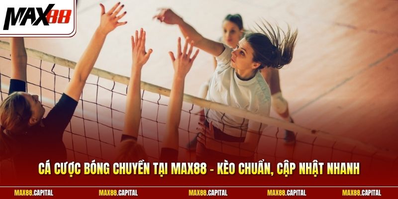 Cá Cược Bóng Chuyền Tại Max88 - Kèo Chuẩn, Cập Nhật Nhanh