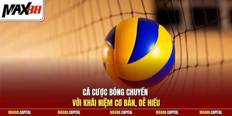 Cá cược bóng chuyền với khái niệm cơ bản, dễ hiểu