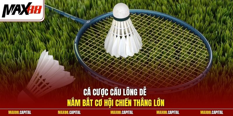 Cá cược cầu lông dễ nắm bắt cơ hội chiến thắng lớn