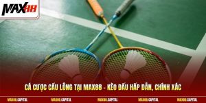 Cá Cược Cầu Lông Tại Max88 - Kèo Đấu Hấp Dẫn, Chính Xác