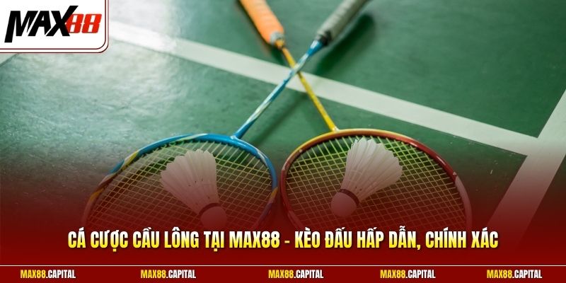 Cá Cược Cầu Lông Tại Max88 - Kèo Đấu Hấp Dẫn, Chính Xác