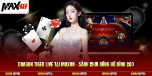Dragon Tiger Live Tại Max88 - Sảnh Chơi Rồng Hổ Đỉnh Cao 