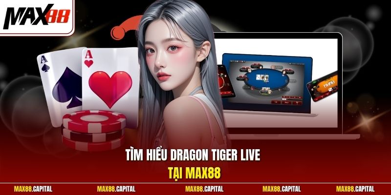 Tìm hiểu Dragon Tiger live tại Max88 